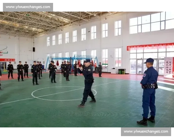 全面解析排球比赛器材的种类功能与使用规范指南