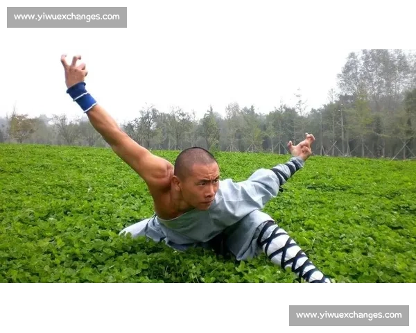 少林拳争霸赛：传承与创新的巅峰对决，武术精英齐聚一堂争锋争锋