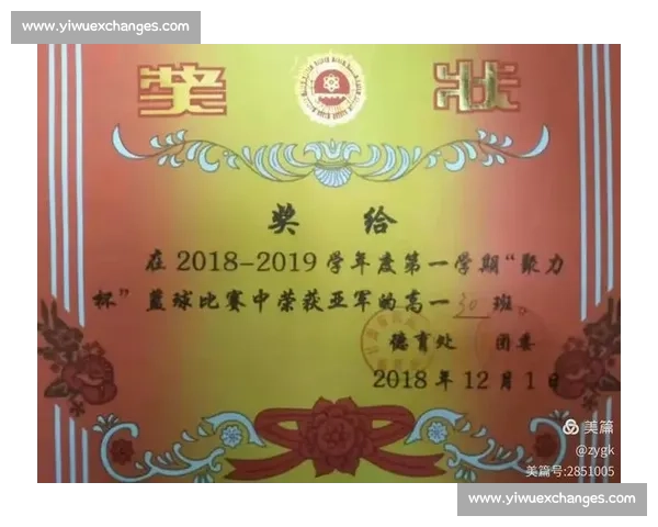 小学生跳绳比赛活动方案设计与实施策略分析