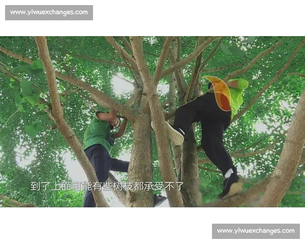 忍耐与欢笑的极限挑战:全球最刺激的挠痒比赛现场纪实 忍耐与欢笑的极限挑战:全球最刺激的挠痒比赛现场纪实